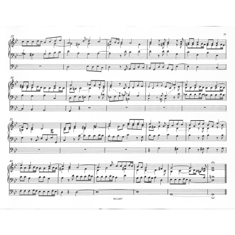 8 kleine Präludien + Fugen BWV 553-560