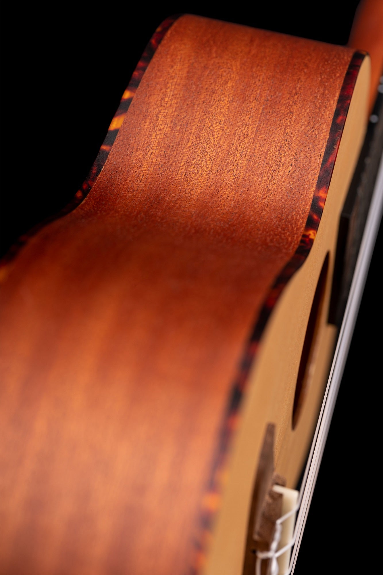 RU5 Konzert Ukelele