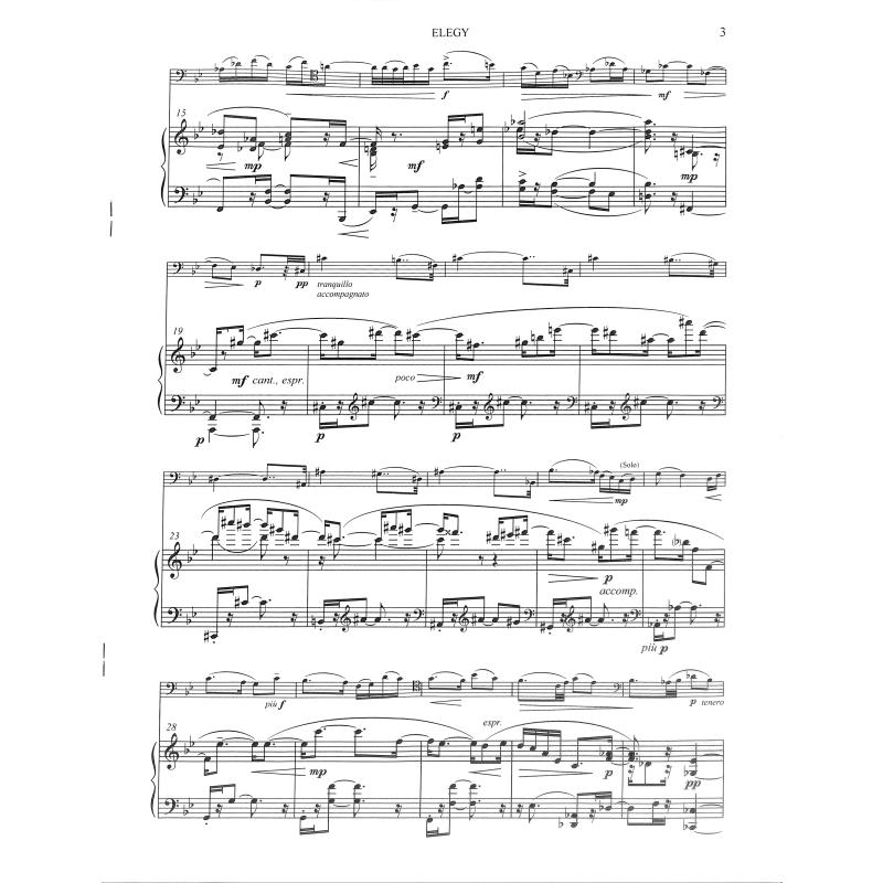 Elegy