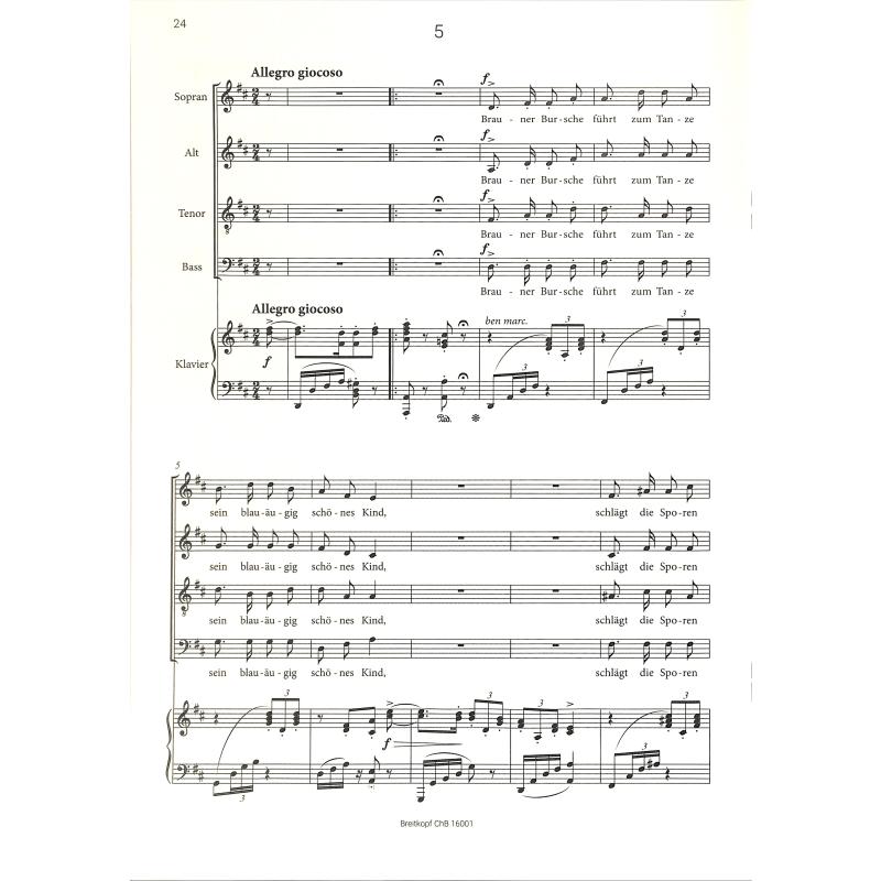 Zigeunerlieder op 103