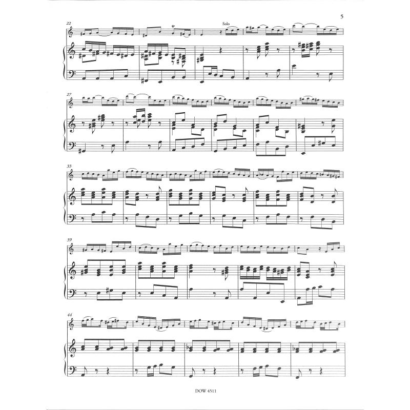 Konzert 1 a-moll BWV 1041