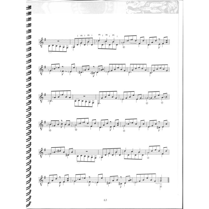 Saitenwege - der leichte Einstieg in die Welt der klassische