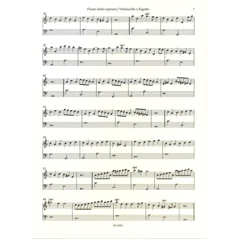 The division flute