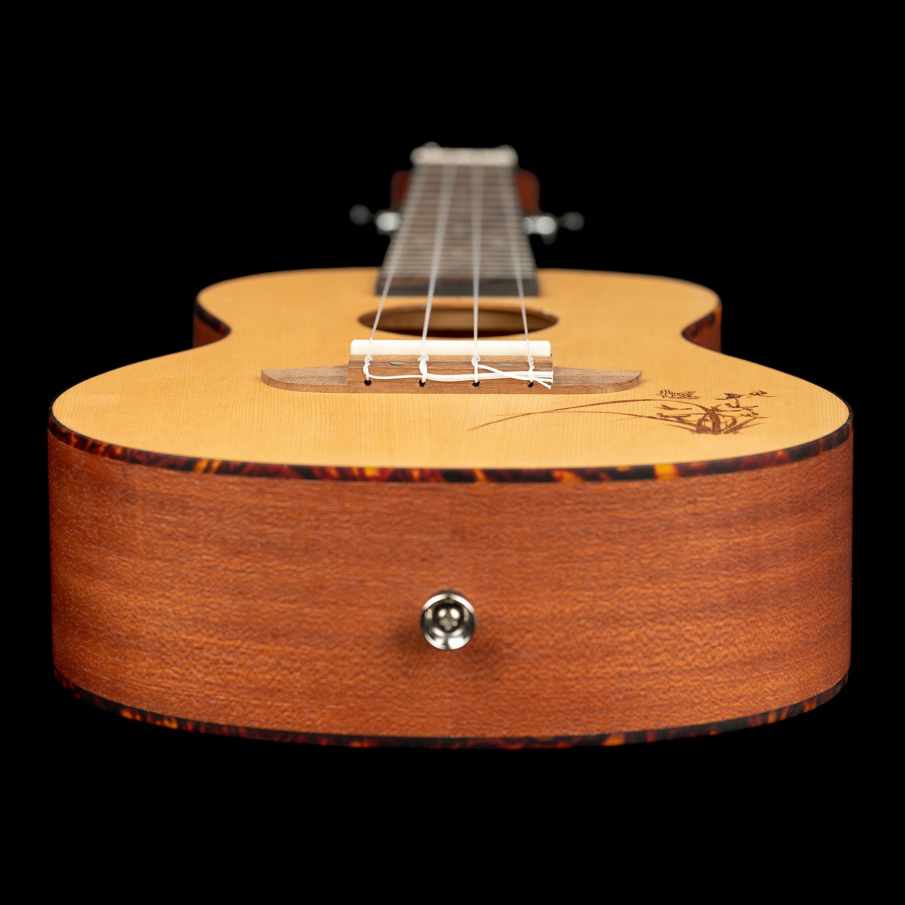 RU5 Konzert Ukelele