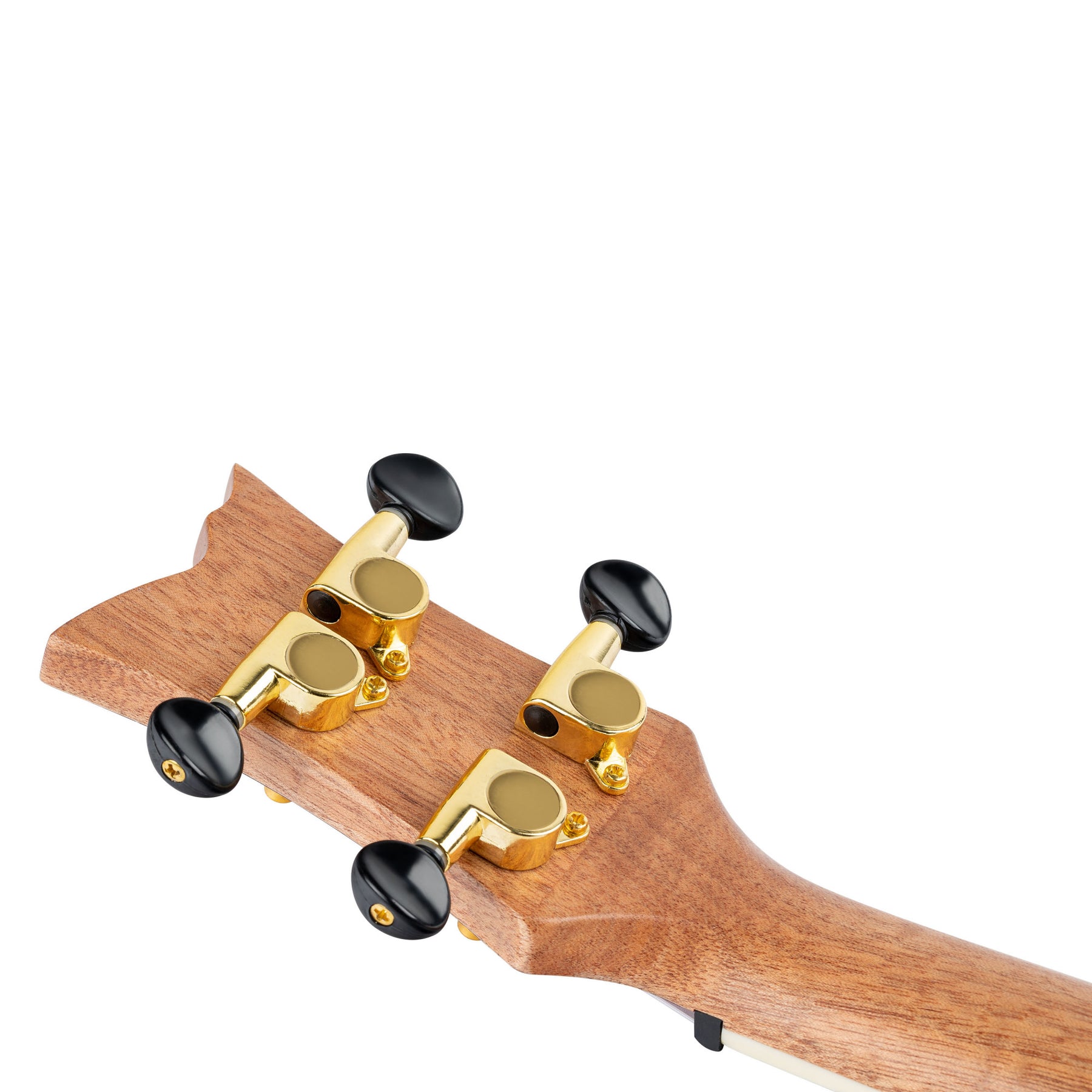RUEL-MRD Konzert Ukulele