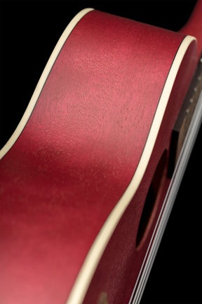 RURUBBY Konzert Ukulele