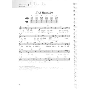 Das Rock + Pop Fetenbuch für Alt und Jung XXL