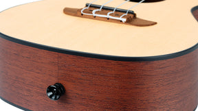 RU4 Konzert Ukelele