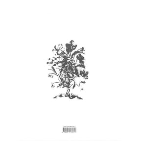 Terpsichore - Tänze der Barockzeit