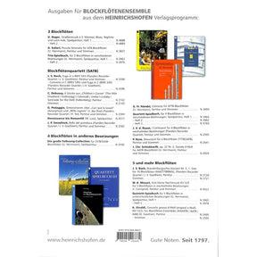 Sinfonia d-moll (Geist und Seele wird verwirret BWV 35)