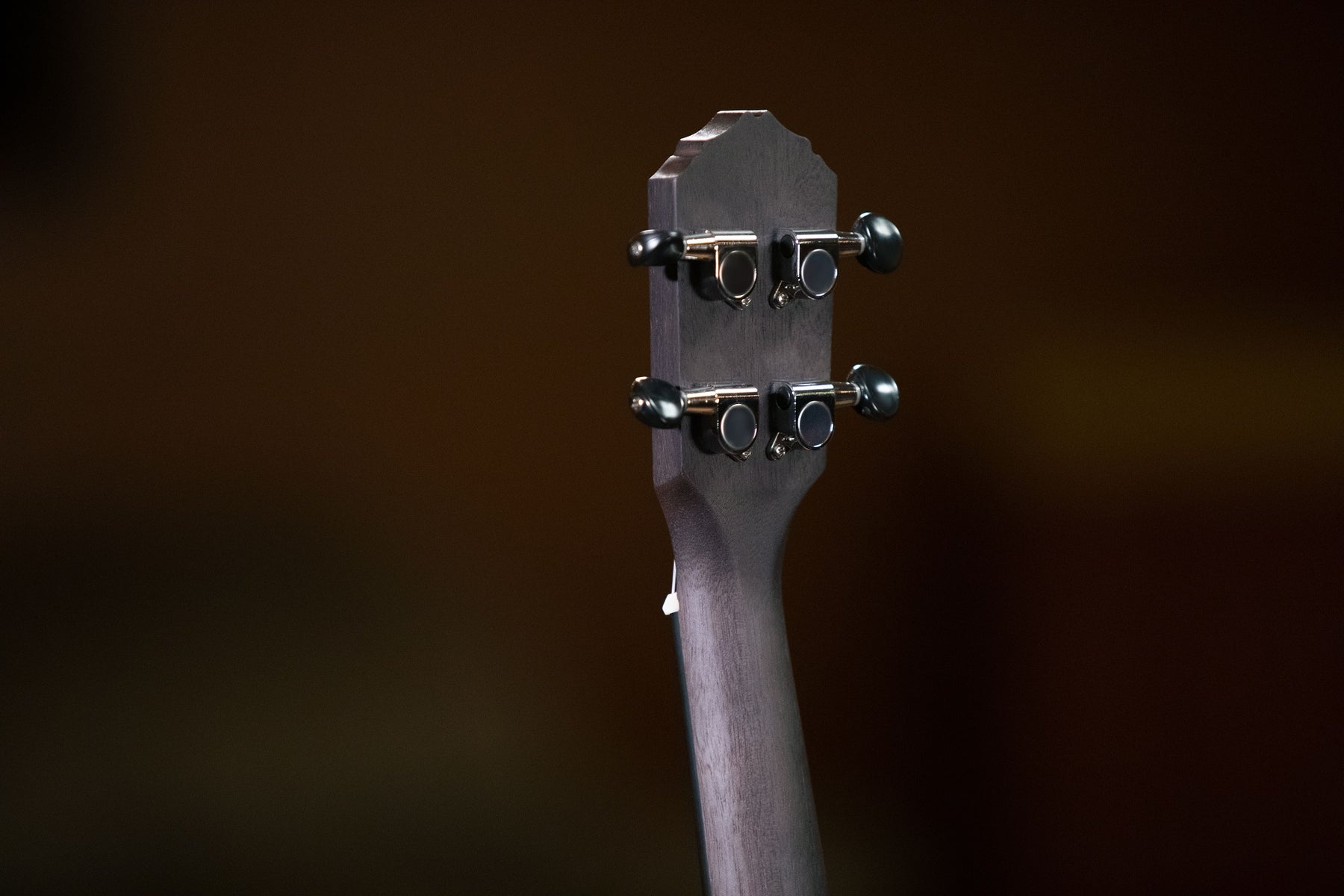 RUCOAL Konzert Ukulele