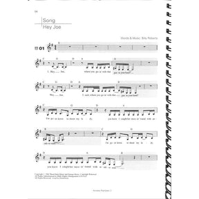 Acoustic Pop guitar 2