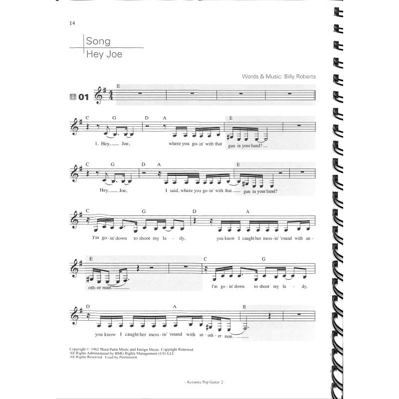 Acoustic Pop guitar 2