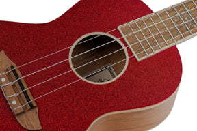 RUEL-MRD Konzert Ukulele