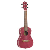 RURUBBY Konzert Ukulele