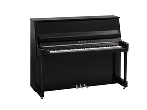 B20