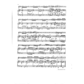 Konzert c-moll