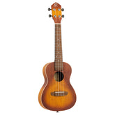 RUDAWN Konzert Ukulele
