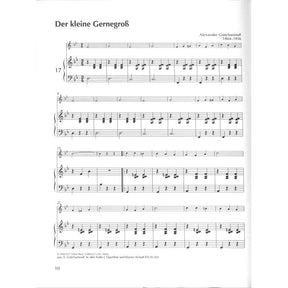 Querflöte spielen mein schönstes Hobby | Spielbuch 1