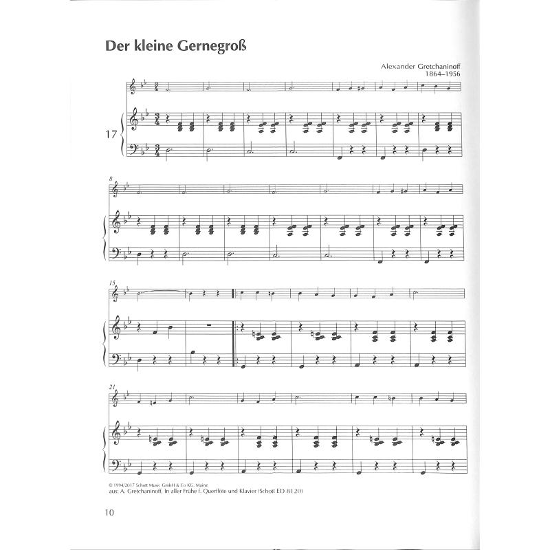 Querflöte spielen mein schönstes Hobby | Spielbuch 1