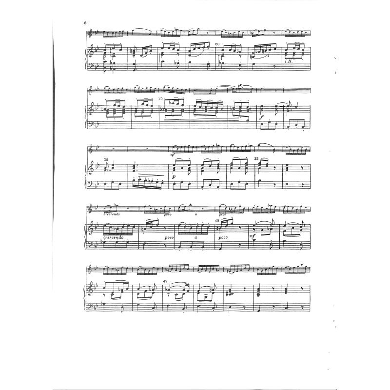 Konzert c-moll
