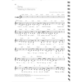 Acoustic Pop guitar 2