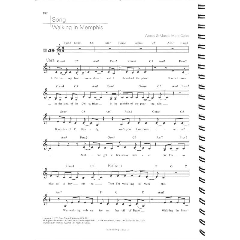 Acoustic Pop guitar 2