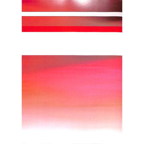 Traunsteiner Orgelbuch