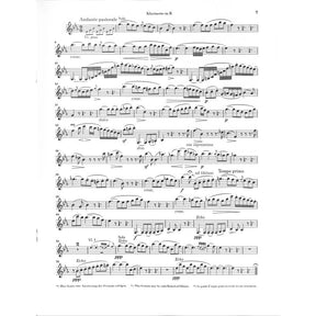 Konzert f-moll op 5