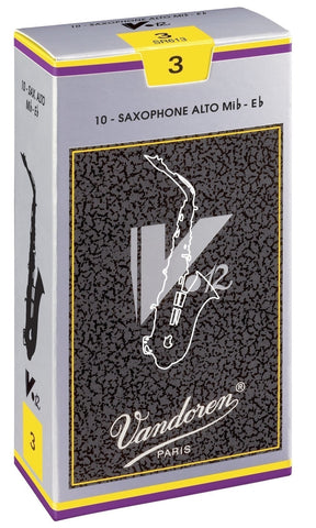 V12  2,5 Alt-Saxophon