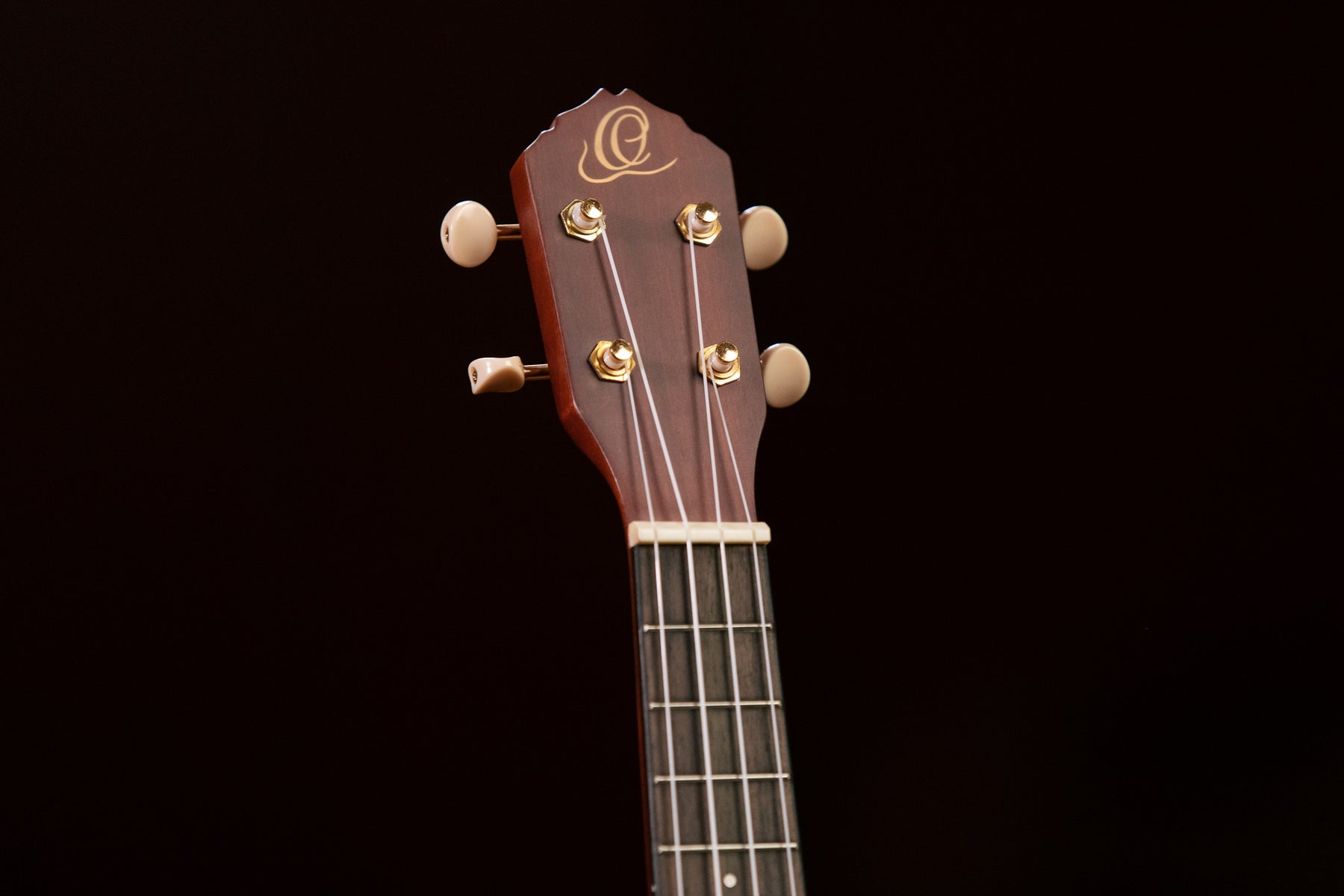 RU11 Konzert Ukulele