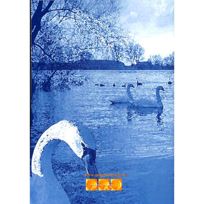 34 well known classics