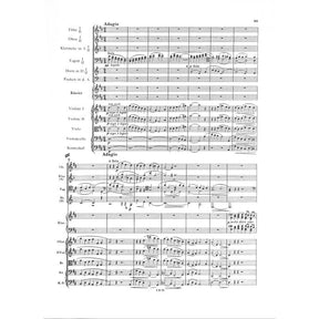 Konzert 1 d-moll op 15