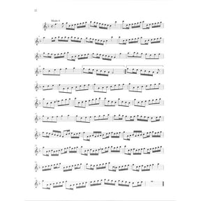 Der Fluyten Lusthof 1