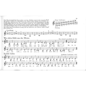 Altflötenschule für den Anfang