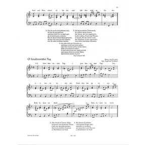 Das Weihnachtsliederbuch