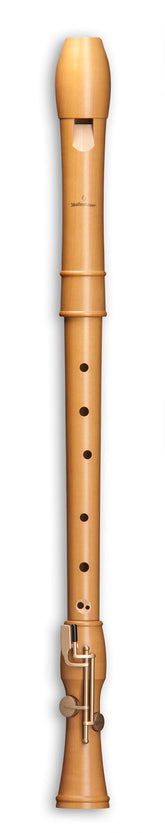 CANTA 2446 Tenor Doppelklappe