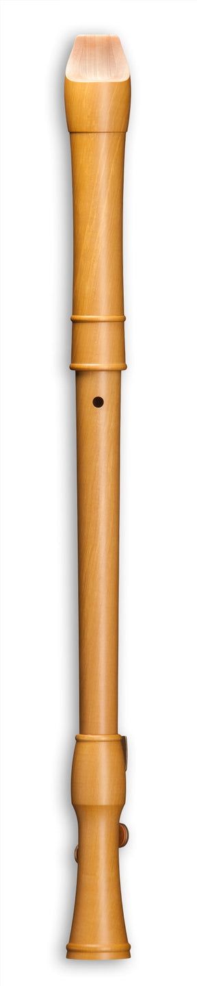 CANTA 2496 Tenor Doppelklappe