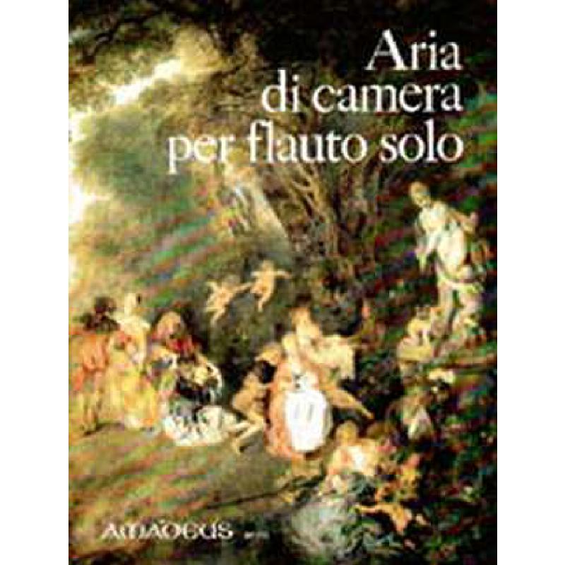 Aria di camera