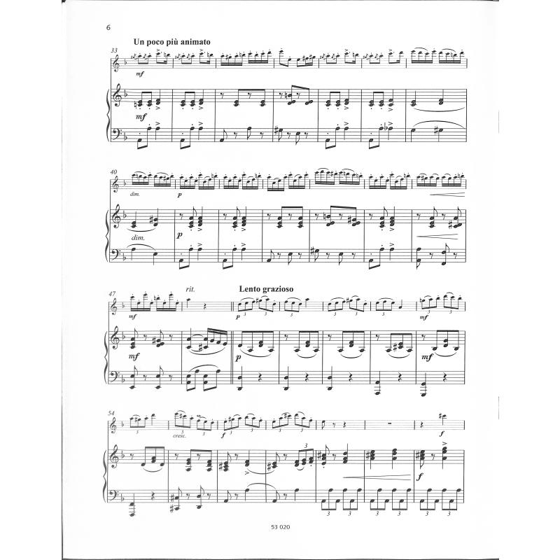 Russisches Zigeunerlied - Air bohemien russe op 462/2