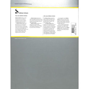 Geschichte der chinesischen Musik