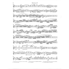 Konzert f-moll op 5