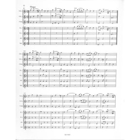 Concerto grosso g-moll op 6/8