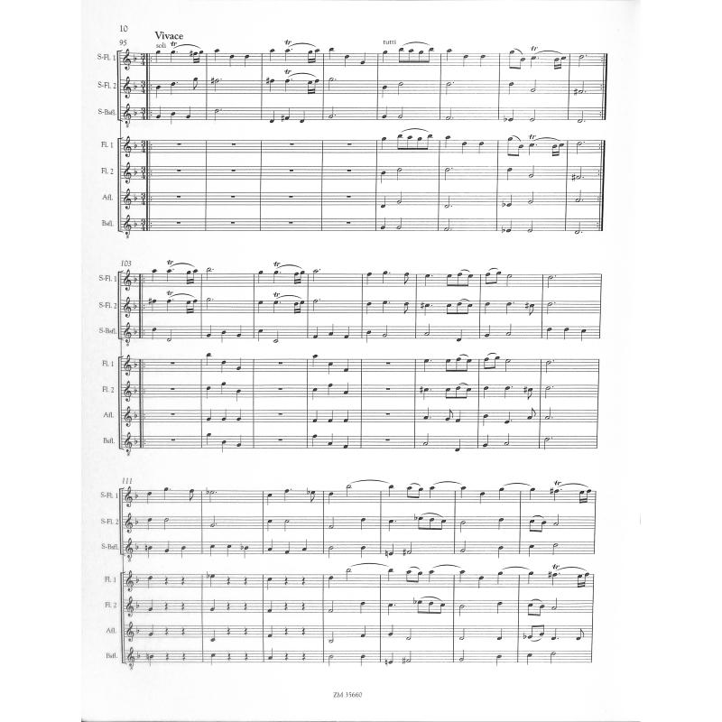 Concerto grosso g-moll op 6/8