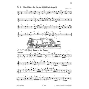 Willkommen in Irland