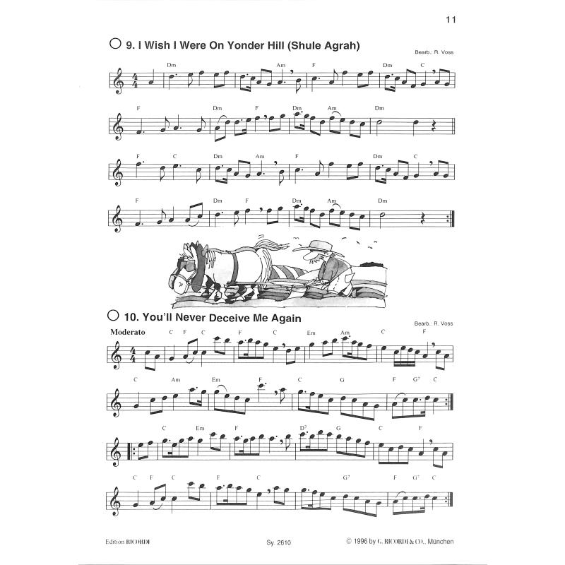 Willkommen in Irland