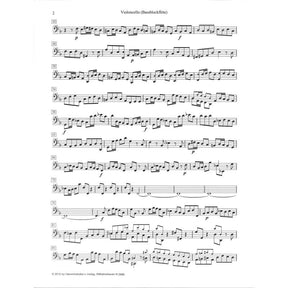 Sinfonia d-moll (Geist und Seele wird verwirret BWV 35)