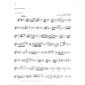 Magic flute - play along flute