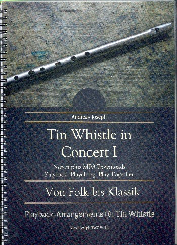 Tin Whistle in Concert Band 1
