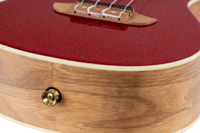 RUEL-MRD Konzert Ukulele